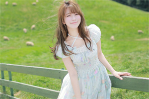 小城市的治理模式:上海的探索 小城市的治理模式:上海的探索